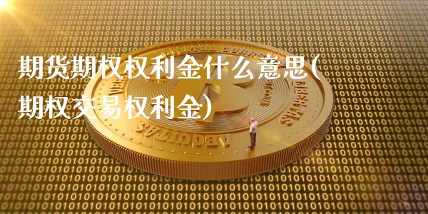 期货期权权利金什么意思(期权交易权利金)_https://gjqh.wpmee.com_期货开户_第1张