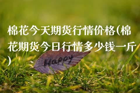 棉花今天期货行情价格(棉花期货今日行情多少钱一斤)_https://gjqh.wpmee.com_期货新闻_第1张