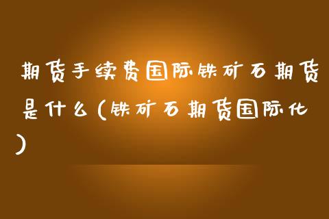 期货手续费国际铁矿石期货是什么(铁矿石期货国际化)_https://gjqh.wpmee.com_国际期货_第1张