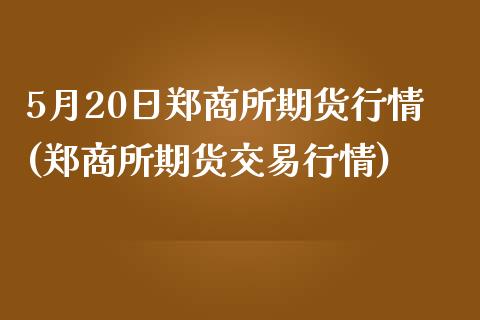 5月20日郑商所期货行情(郑商所期货交易行情)_https://gjqh.wpmee.com_期货百科_第1张