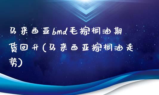 马来西亚bmd毛棕榈油期货回升(马来西亚棕榈油走势)_https://gjqh.wpmee.com_期货百科_第1张