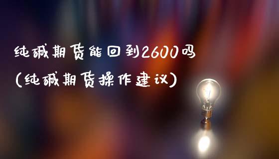 纯碱期货能回到2600吗(纯碱期货操作建议)_https://gjqh.wpmee.com_期货新闻_第1张