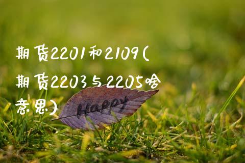 期货2201和2109(期货2203与2205啥意思)_https://gjqh.wpmee.com_期货开户_第1张