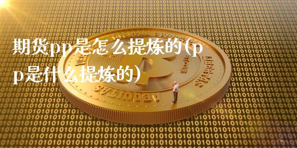 期货pp是怎么提炼的(pp是什么提炼的)_https://gjqh.wpmee.com_期货平台_第1张