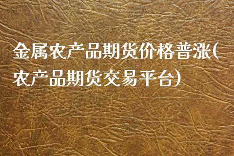 金属农产品期货价格普涨(农产品期货交易平台)_https://gjqh.wpmee.com_期货开户_第1张