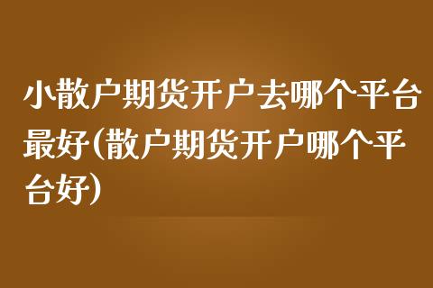 小散户期货开户去哪个平台最好(散户期货开户哪个平台好)_https://gjqh.wpmee.com_期货百科_第1张