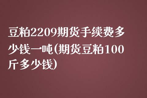 豆粕2209期货手续费多少钱一吨(期货豆粕100斤多少钱)_https://gjqh.wpmee.com_国际期货_第1张