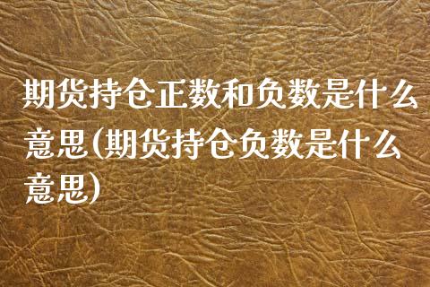 期货持仓正数和负数是什么意思(期货持仓负数是什么意思)_https://gjqh.wpmee.com_国际期货_第1张