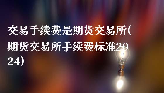 交易手续费是期货交易所(期货交易所手续费标准2024)_https://gjqh.wpmee.com_期货开户_第1张