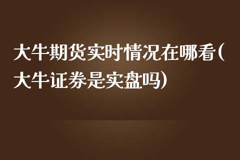 大牛期货实时情况在哪看(大牛证券是实盘吗)_https://gjqh.wpmee.com_期货平台_第1张