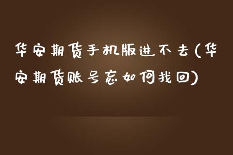 华安期货手机版进不去(华安期货账号忘如何找回)_https://gjqh.wpmee.com_期货开户_第1张