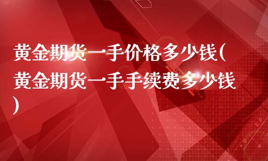 黄金期货一手价格多少钱(黄金期货一手手续费多少钱)_https://gjqh.wpmee.com_期货开户_第1张