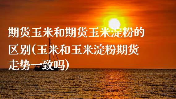 期货玉米和期货玉米淀粉的区别(玉米和玉米淀粉期货走势一致吗)_https://gjqh.wpmee.com_期货百科_第1张