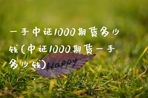 一手中证1000期货多少钱(中证1000期货一手多少钱)_https://gjqh.wpmee.com_期货百科_第1张