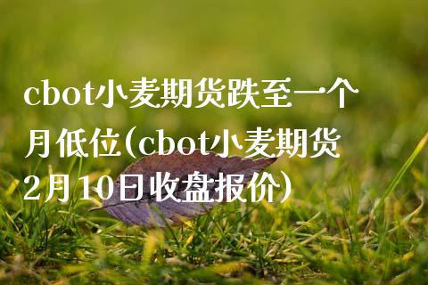 cbot小麦期货跌至一个月低位(cbot小麦期货2月10日收盘报价)_https://gjqh.wpmee.com_期货平台_第1张