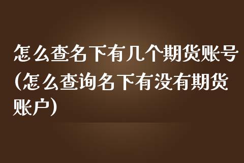 怎么查名下有几个期货账号(怎么查询名下有没有期货账户)_https://gjqh.wpmee.com_期货百科_第1张