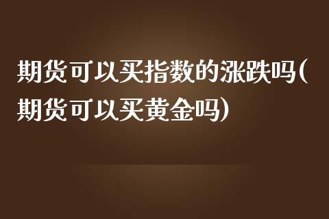 期货可以买指数的涨跌吗(期货可以买黄金吗)_https://gjqh.wpmee.com_国际期货_第1张