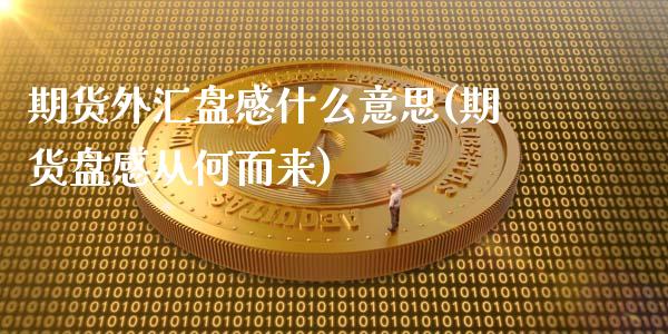 期货外汇盘感什么意思(期货盘感从何而来)_https://gjqh.wpmee.com_期货平台_第1张