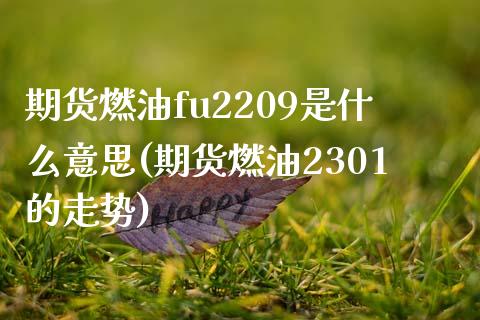 期货燃油fu2209是什么意思(期货燃油2301的走势)_https://gjqh.wpmee.com_期货百科_第1张