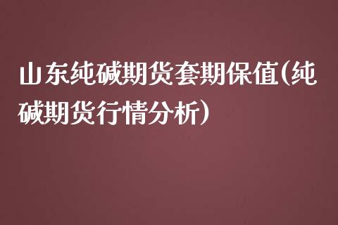 山东纯碱期货套期保值(纯碱期货行情分析)_https://gjqh.wpmee.com_期货开户_第1张