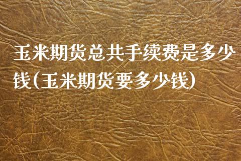 玉米期货总共手续费是多少钱(玉米期货要多少钱)_https://gjqh.wpmee.com_期货新闻_第1张