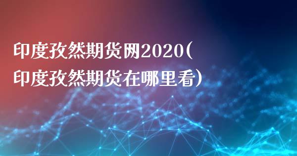 印度孜然期货网2020(印度孜然期货在哪里看)_https://gjqh.wpmee.com_期货开户_第1张