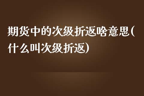 期货中的次级折返啥意思(什么叫次级折返)_https://gjqh.wpmee.com_期货开户_第1张