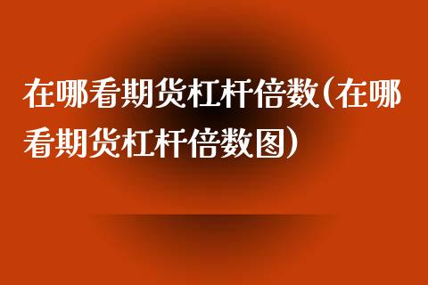 在哪看期货杠杆倍数(在哪看期货杠杆倍数图)_https://gjqh.wpmee.com_国际期货_第1张