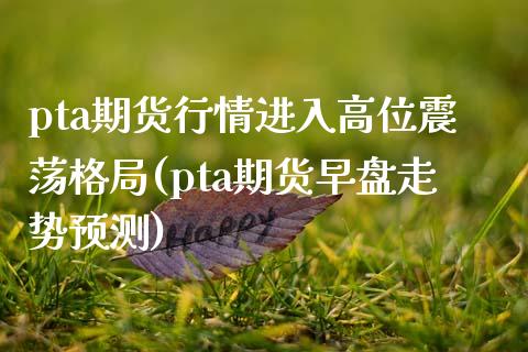 pta期货行情进入高位震荡格局(pta期货早盘走势预测)_https://gjqh.wpmee.com_国际期货_第1张