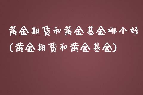 黄金期货和黄金基金哪个好(黄金期货和黄金基金)_https://gjqh.wpmee.com_期货百科_第1张