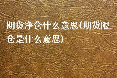 期货净仓什么意思(期货限仓是什么意思)_https://gjqh.wpmee.com_期货平台_第1张