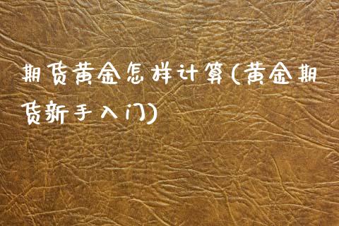 期货黄金怎样计算(黄金期货新手入门)_https://gjqh.wpmee.com_期货开户_第1张