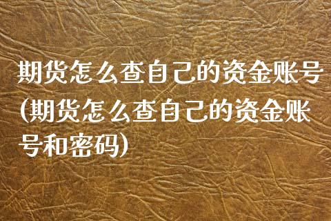 期货怎么查自己的资金账号(期货怎么查自己的资金账号和密码)_https://gjqh.wpmee.com_期货平台_第1张