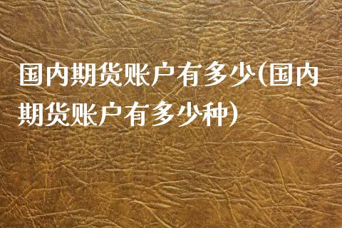 国内期货账户有多少(国内期货账户有多少种)_https://gjqh.wpmee.com_期货新闻_第1张