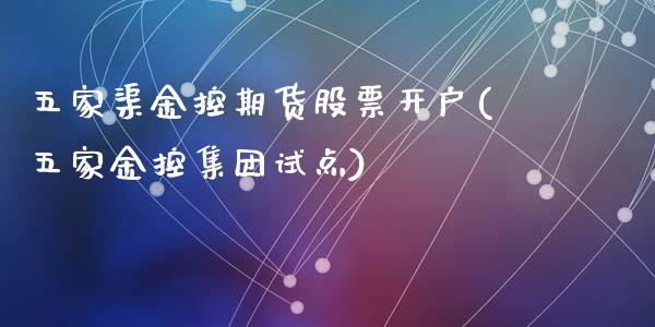 五家渠金控期货股票开户(五家金控集团试点)_https://gjqh.wpmee.com_国际期货_第1张