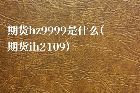 期货hz9999是什么(期货ih2109)_https://gjqh.wpmee.com_期货新闻_第1张