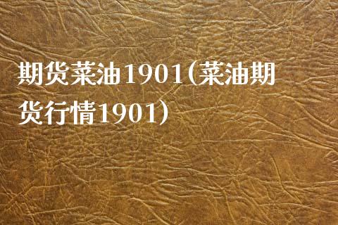 期货菜油1901(菜油期货行情1901)_https://gjqh.wpmee.com_期货新闻_第1张