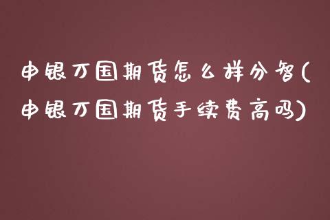 申银万国期货怎么样分智(申银万国期货手续费高吗)_https://gjqh.wpmee.com_期货平台_第1张