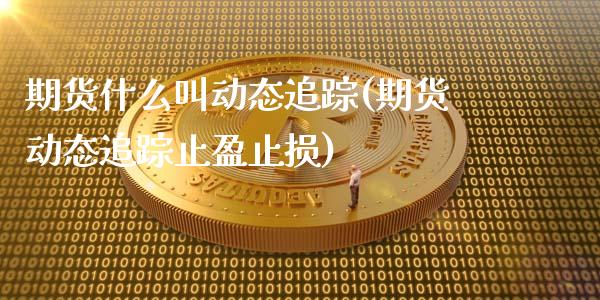 期货什么叫动态追踪(期货动态追踪止盈止损)_https://gjqh.wpmee.com_期货平台_第1张