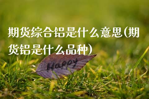 期货综合铝是什么意思(期货铝是什么品种)_https://gjqh.wpmee.com_期货平台_第1张