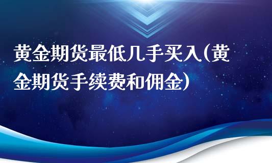 黄金期货最低几手买入(黄金期货手续费和佣金)_https://gjqh.wpmee.com_期货新闻_第1张