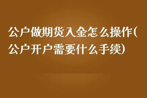 公户做期货入金怎么操作(公户开户需要什么手续)_https://gjqh.wpmee.com_国际期货_第1张