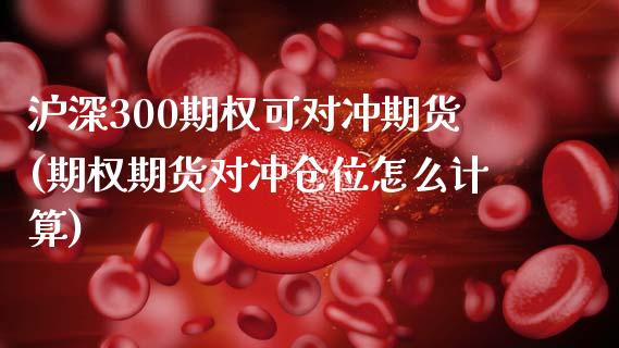 沪深300期权可对冲期货(期权期货对冲仓位怎么计算)_https://gjqh.wpmee.com_国际期货_第1张