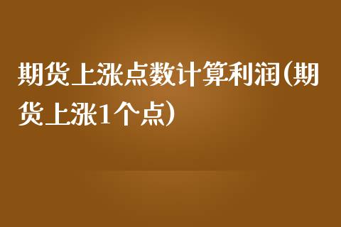 期货上涨点数计算利润(期货上涨1个点)_https://gjqh.wpmee.com_期货百科_第1张