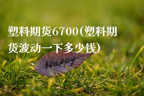 塑料期货6700(塑料期货波动一下多少钱)_https://gjqh.wpmee.com_期货百科_第1张