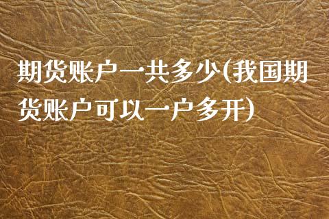 期货账户一共多少(我国期货账户可以一户多开)_https://gjqh.wpmee.com_国际期货_第1张