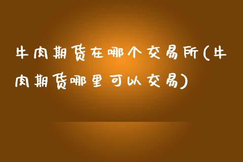 牛肉期货在哪个交易所(牛肉期货哪里可以交易)_https://gjqh.wpmee.com_期货百科_第1张