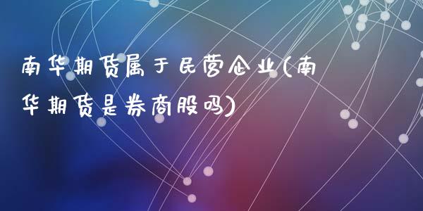 南华期货属于民营企业(南华期货是券商股吗)_https://gjqh.wpmee.com_期货百科_第1张