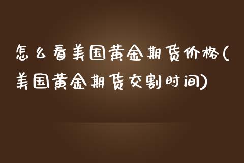 怎么看美国黄金期货价格(美国黄金期货交割时间)_https://gjqh.wpmee.com_期货开户_第1张