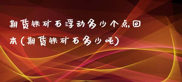 期货铁矿石浮动多少个点回本(期货铁矿石多少吨)_https://gjqh.wpmee.com_期货百科_第1张